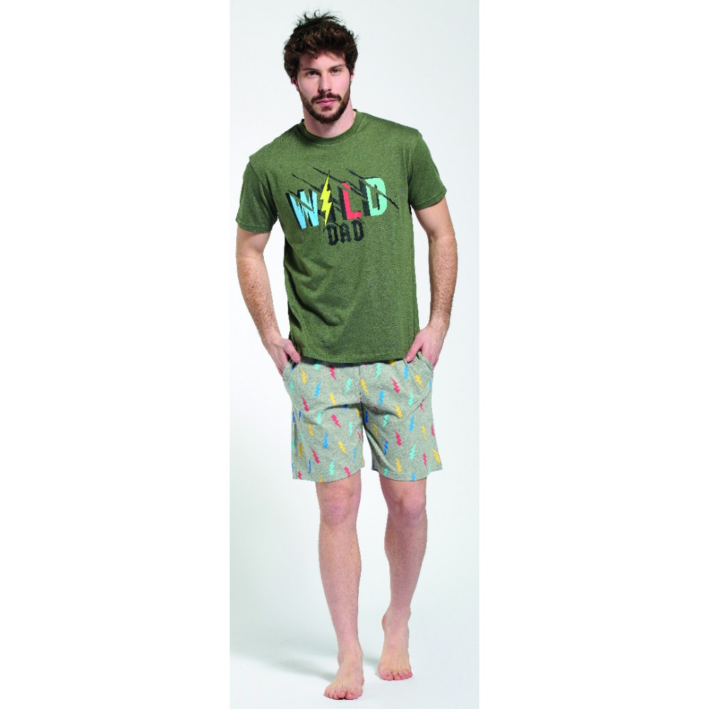 Men's pajamas with shorts  Leroy (Green/Grey)