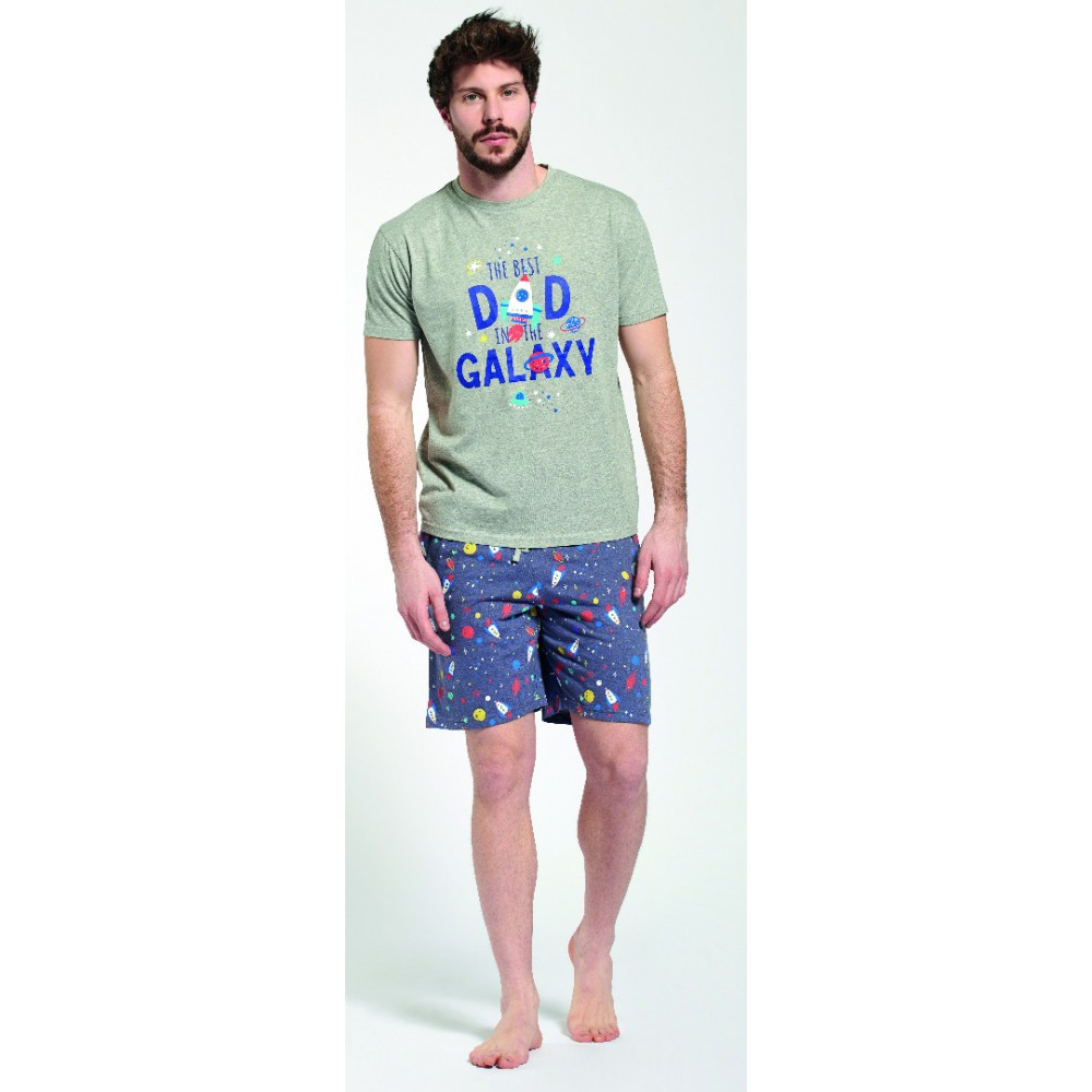 Men's pajamas with shorts  Leroy (Grey/Blue)