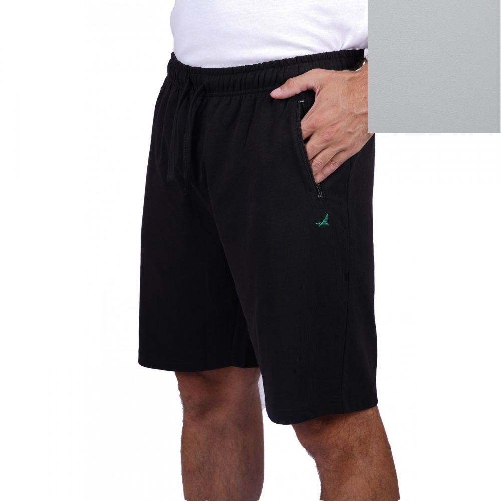 Men's shorts with pockets and embroidery FR6 (Grey)