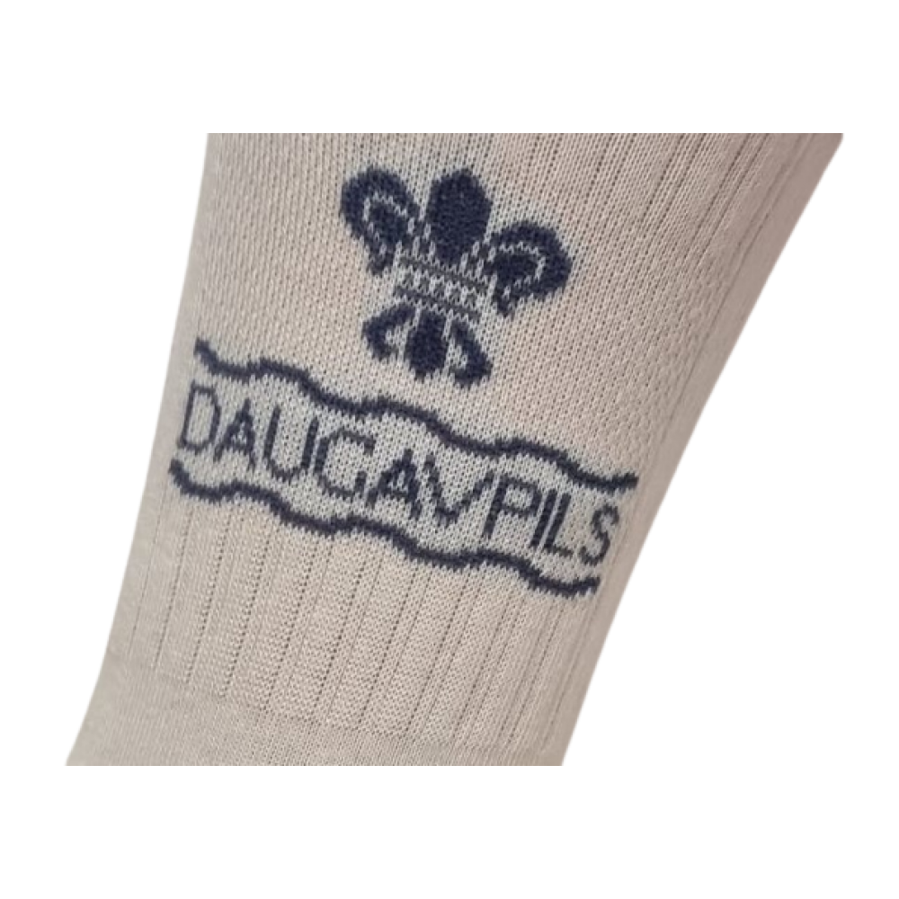 103 Спортивные носки "Daugavpils", мод.3
