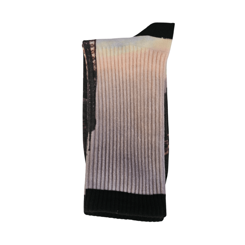 Printed classic socks "Paris"