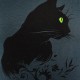 Women's T-shirt Noviti "Cat" (grey)