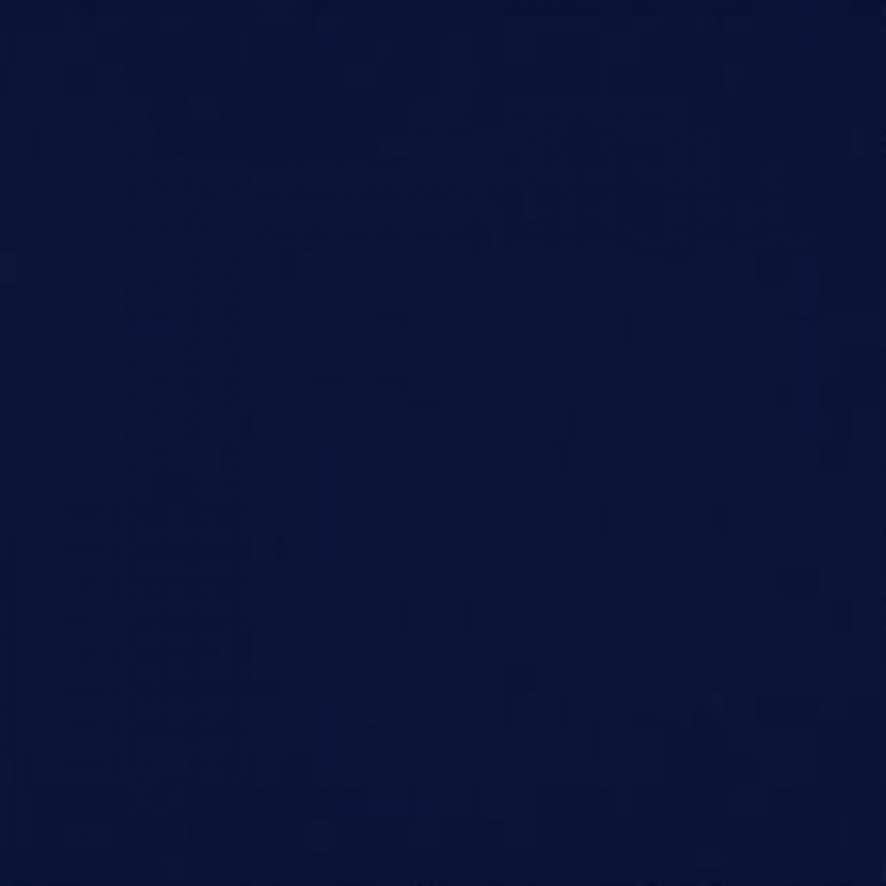 Женская флисовая куртка Micro Polar W14 (Navy Blue)